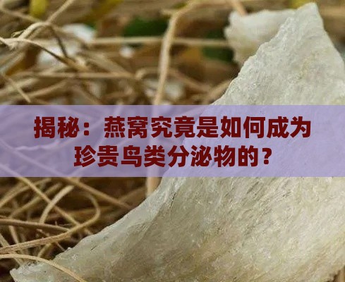 揭秘：燕窝究竟是如何成为珍贵鸟类分泌物的？