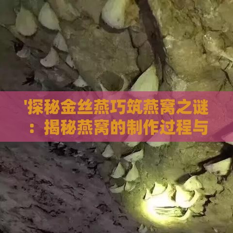 '探秘金丝燕巧筑燕窝之谜：揭秘燕窝的制作过程与奥秘'