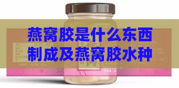 燕窝胶是什么东西制成及燕窝胶水种类解析