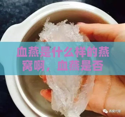 血燕是什么样的燕窝啊，血燕是否为真正的燕窝解析