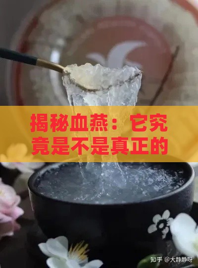 揭秘血燕：它究竟是不是真正的燕窝？