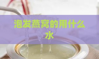 泡发燕窝的用什么水