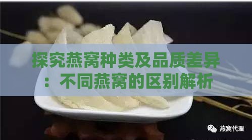 探究燕窝种类及品质差异：不同燕窝的区别解析