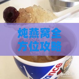 炖燕窝全方位攻略：水炖技巧与美味秘诀解析