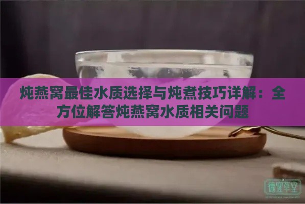 炖燕窝更佳水质选择与炖煮技巧详解：全方位解答炖燕窝水质相关问题