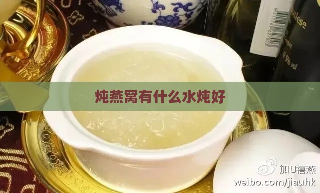 炖燕窝有什么水炖好