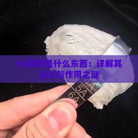 9a燕窝是什么东西：详解其含义与作用之谜