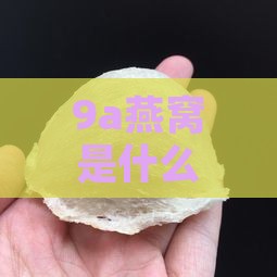 9a燕窝是什么东西：详解其含义与作用之谜