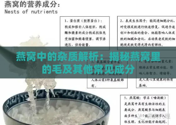 燕窝中的杂质解析：揭秘燕窝里的毛及其他常见成分