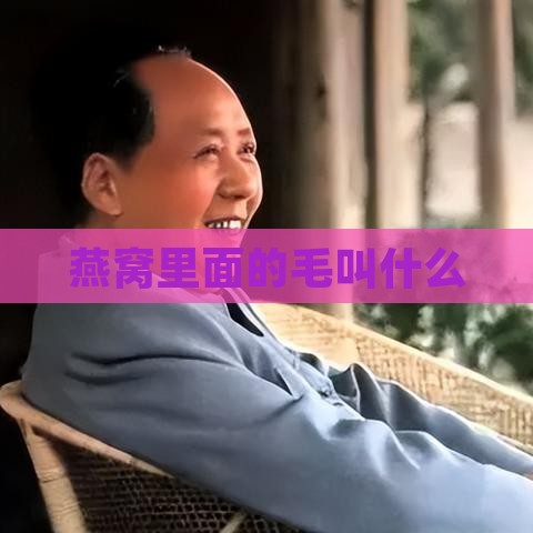 燕窝里面的毛叫什么