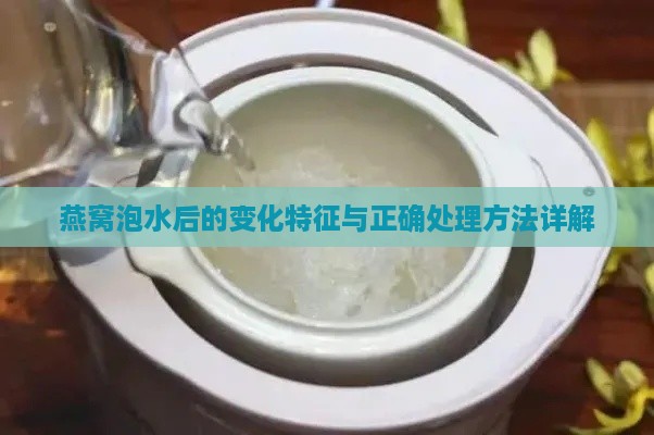 燕窝泡水后的变化特征与正确处理方法详解