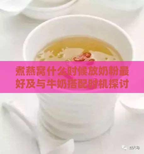 煮燕窝什么时候放奶粉更好及与牛奶搭配时机探讨