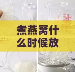 煮燕窝什么时候放奶