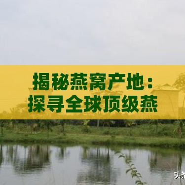 揭秘燕窝产地：探寻全球顶级燕窝出产胜地