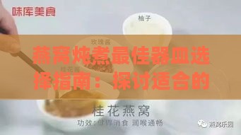 燕窝炖煮更佳器皿选择指南：探讨适合的煮制工具