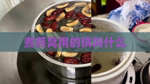 煮燕窝用的锅叫什么