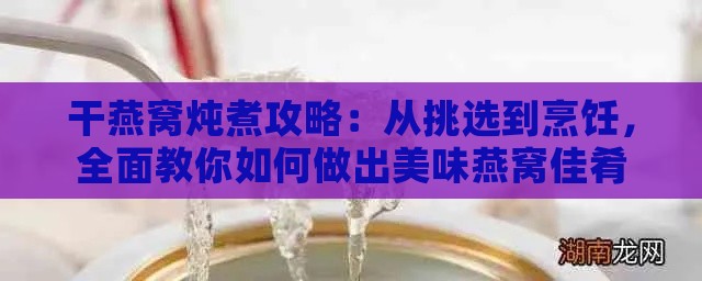 干燕窝炖煮攻略：从挑选到烹饪，全面教你如何做出美味燕窝佳肴