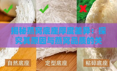 揭秘燕窝底座厚度差异：探究其原因与燕窝品质的关系