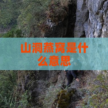 山洞燕窝是什么意思