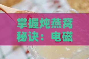 掌握炖燕窝秘诀：电磁炉哪项功能最适宜炖煮