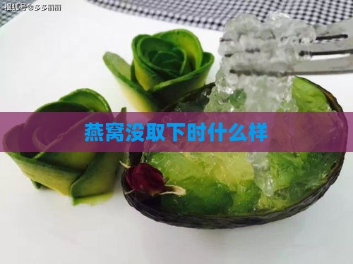 燕窝没取下时什么样