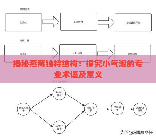 揭秘燕窝独特结构：探究小气泡的专业术语及意义