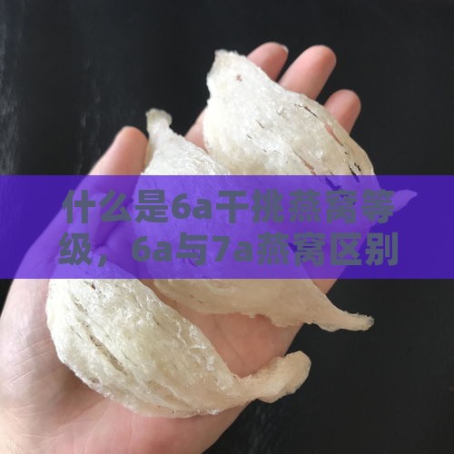 什么是6a干挑燕窝等级，6a与7a燕窝区别，干挑燕窝是否足干及价格每克多少？