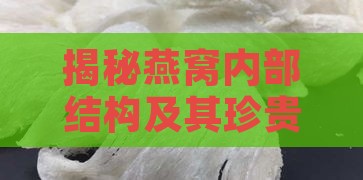 揭秘燕窝内部结构及其珍贵成分