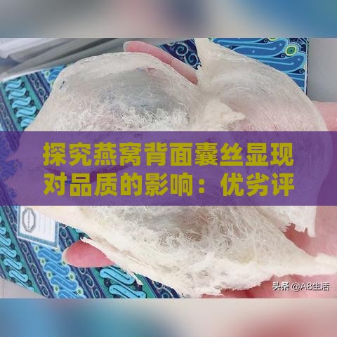 探究燕窝背面囊丝显现对品质的影响：优劣评判指南