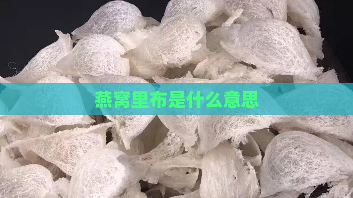 燕窝里布是什么意思