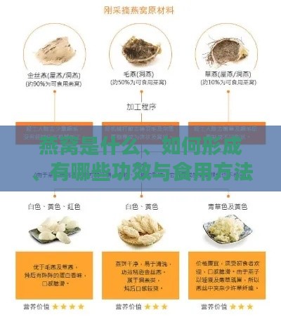 燕窝是什么、如何形成、有哪些功效与食用方法——全方位了解燕窝的秘密