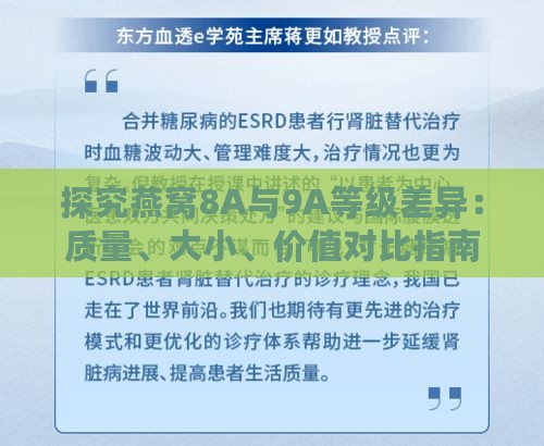 探究燕窝8A与9A等级差异：质量、大小、价值对比指南