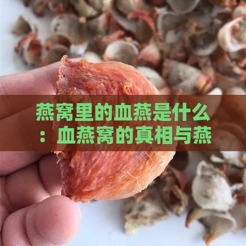 燕窝里的血燕是什么：血燕窝的真相与燕子的唾液来源解析