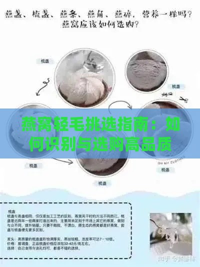 燕窝轻毛挑选指南：如何识别与选购高品质燕窝