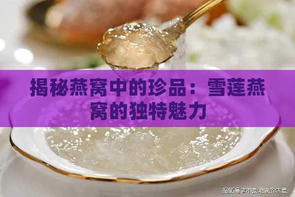 揭秘燕窝中的珍品：雪莲燕窝的独特魅力