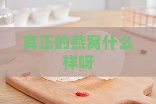 真正的燕窝什么样呀