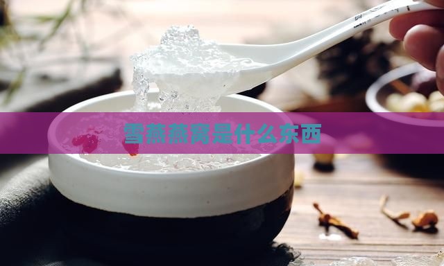 雪燕燕窝是什么东西