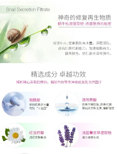 蜗牛霜使用指南：全面解析如何更大化保湿修复效果