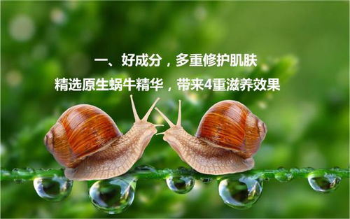 蜗牛燕窝霜有什么用