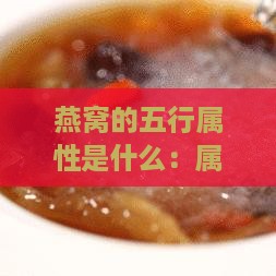 燕窝的五行属性是什么：属水还是属火，以及其行业归属