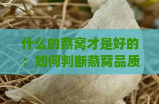 什么的燕窝才是好的：如何判断燕窝品质优劣及外观特征