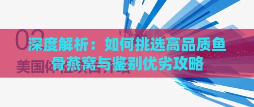 深度解析：如何挑选高品质鱼骨燕窝与鉴别优劣攻略