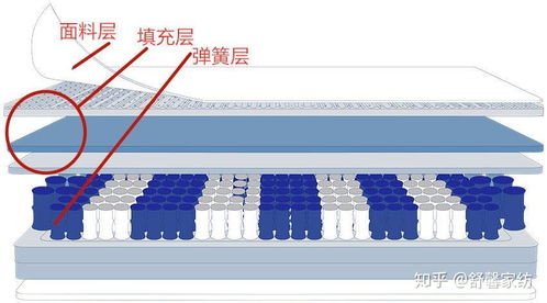 深度解析：如何挑选高品质鱼骨燕窝与鉴别优劣攻略