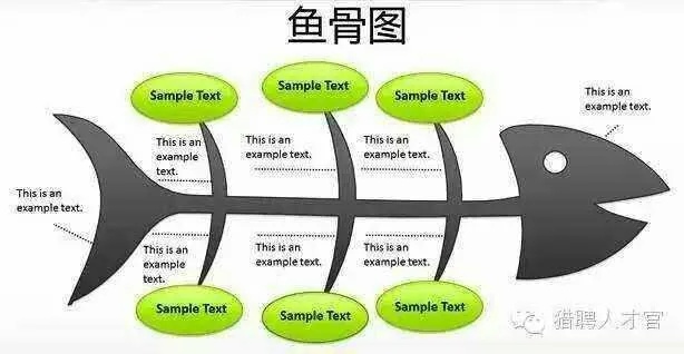 全面解析：各类鱼骨优缺点及更佳选择指南