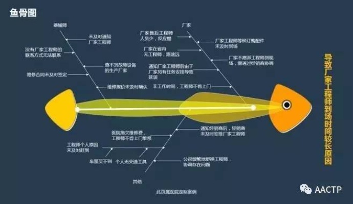 全面解析：各类鱼骨优缺点及更佳选择指南