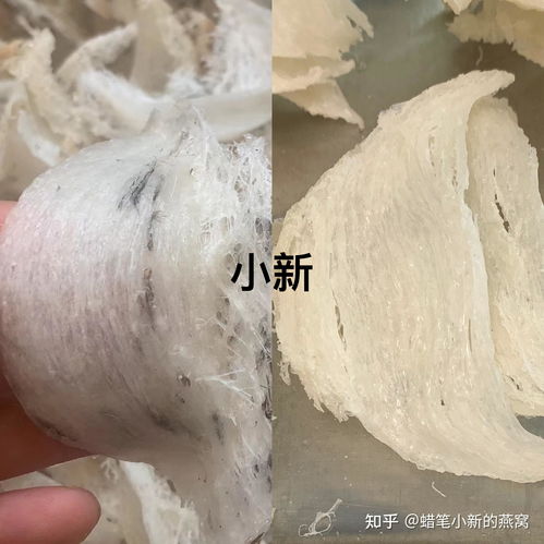 什么样的鱼骨燕窝好