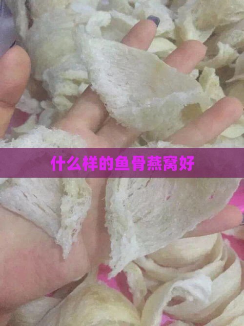 什么样的鱼骨燕窝好