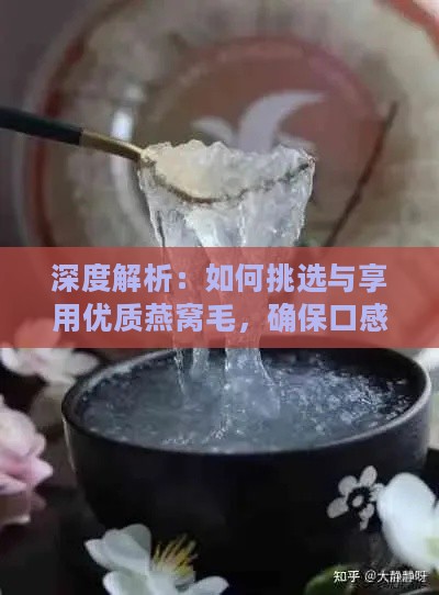 深度解析：如何挑选与享用优质燕窝毛，确保口感与营养更大化