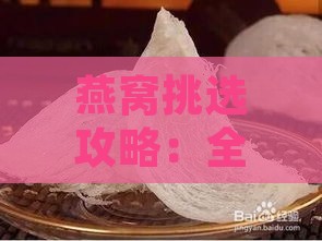 燕窝挑选攻略：全方位解读优质燕窝的特征与鉴别方法