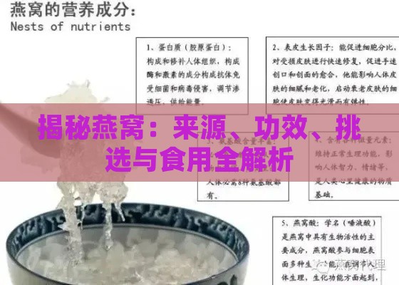 揭秘燕窝：来源、功效、挑选与食用全解析